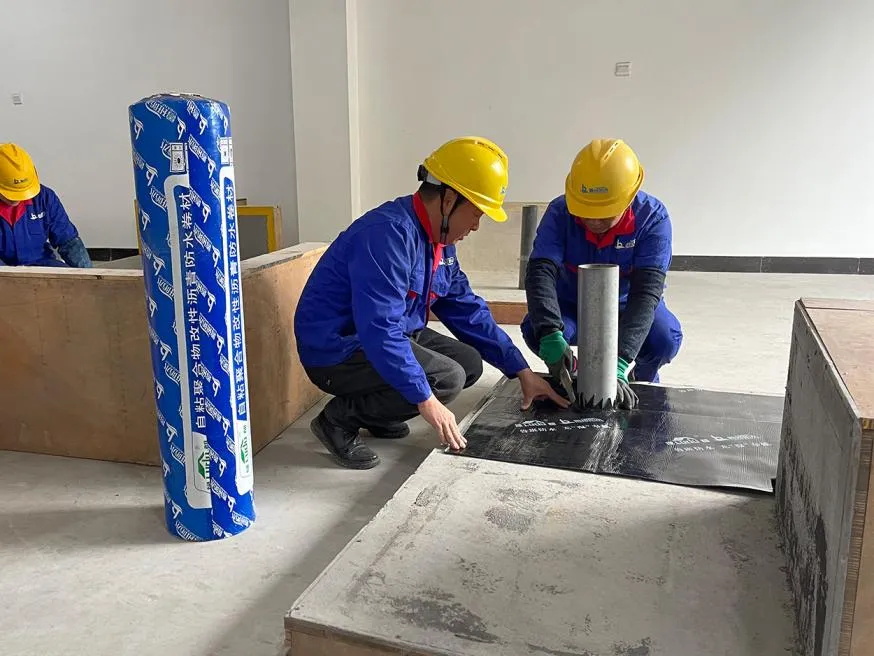 20241026153837173756.jpg 11_看圖王.jpg