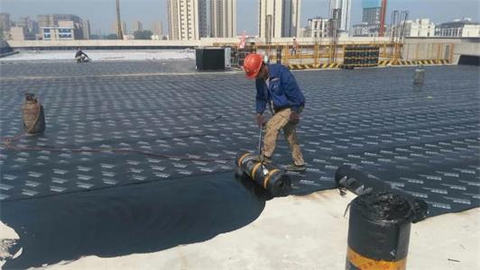 20241123155651263926.jpg 1_看圖王.jpg