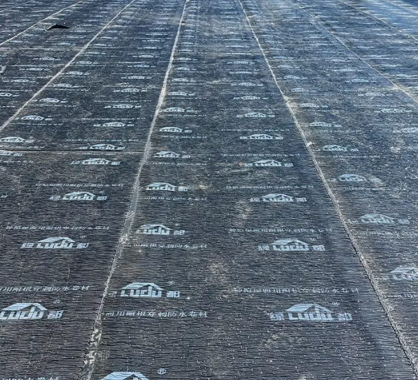 20250607102724412343.png image.png