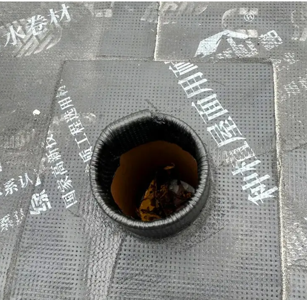 20250607102741154260.png image.png